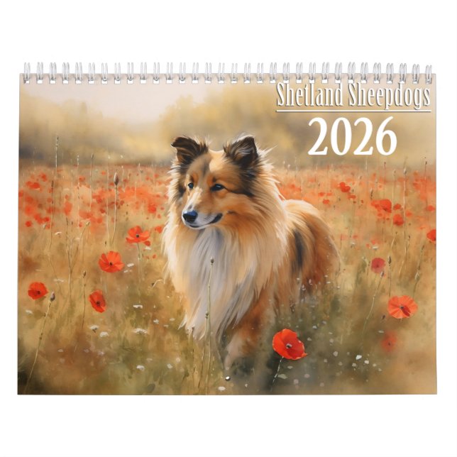 Calendário 2026 Shetland Sheepdog (Capa)