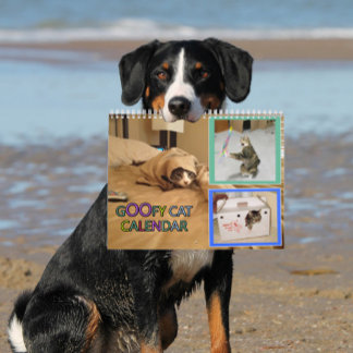 Calendário 2026 silly cat Calendar