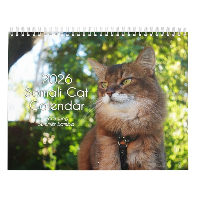Calendário 2026 Somali Cat Calendar Featuring Summer Samba (Capa)
