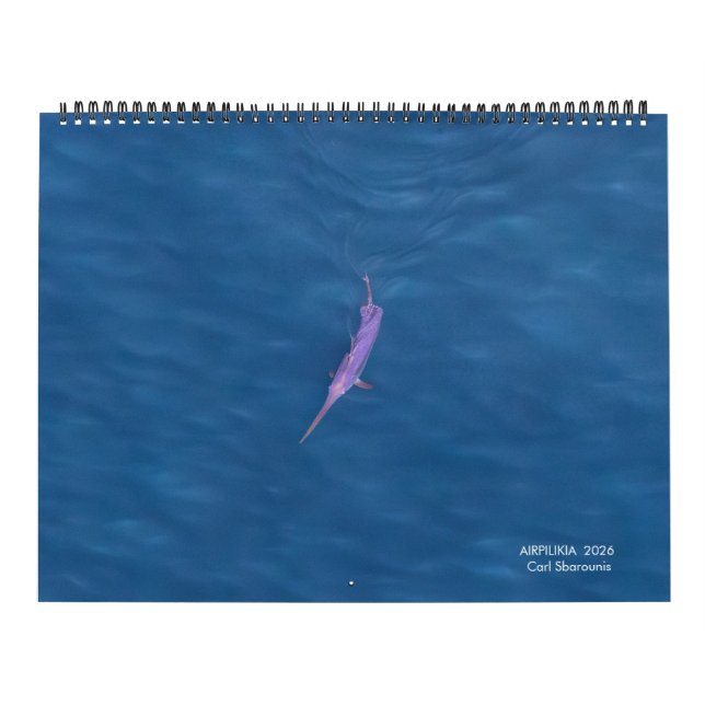 Calendário 2026 Swordfish Calendar (Capa)