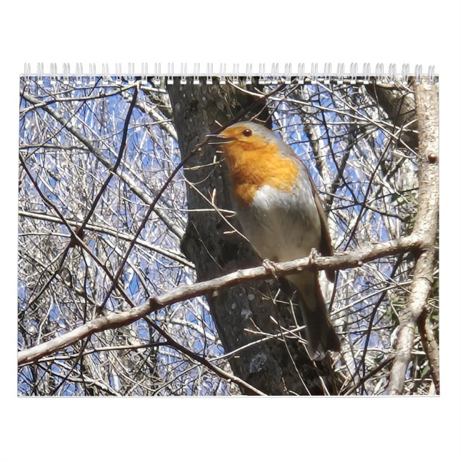 Calendário 2026 Travel Notes Calendar (Capa)