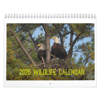 Calendário 2026 Wildlife Calendar by Kevin Harris