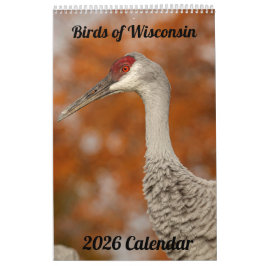 Calendário 2026 Wisconsin Birds Calendar