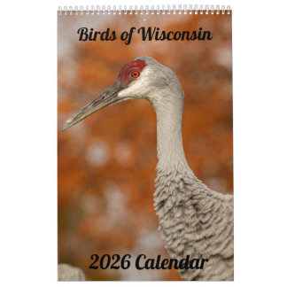 Calendário 2026 Wisconsin Birds Calendar