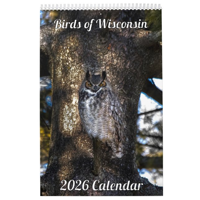 Calendário 2026 Wisconsin Birds Calendar (Capa)