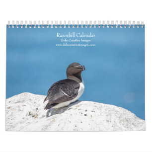 Calendário 2027 Araçaris-de-bico-de-tesoura Aves Marinhas d