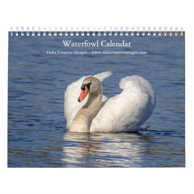 Calendário 2027 Aves Aquáticas & Aves de Zonas Húmidas | Foto (Capa)
