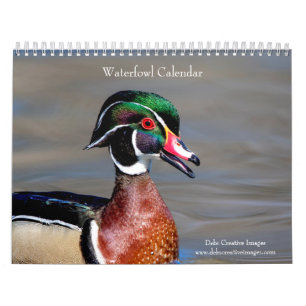 Calendário 2027 Aves Aquáticas & Aves de Zonas Úmidas Vida