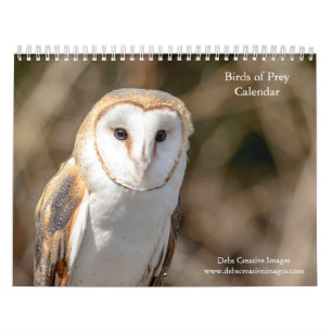 Calendário 2027 Aves de Rapina Raptores Norte-Americanos