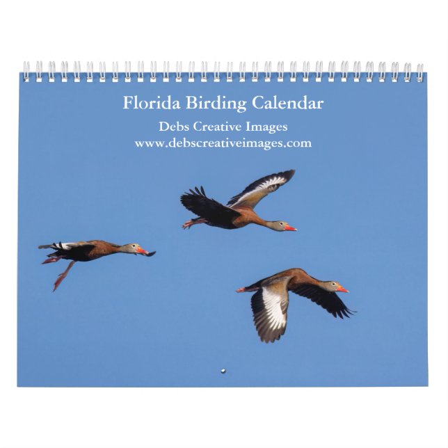Calendário 2027 Belas Aves da Flórida | Fotos da Vida Selvage (Capa)