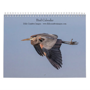 Calendário 2027 Belas Aves Fotografia da Vida Selvagem
