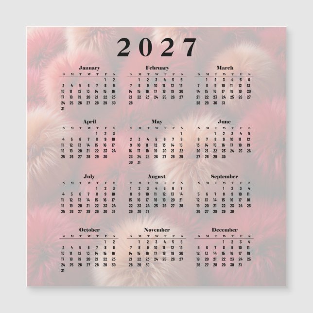 Calendário 2027 Bolas Fofas (Frente)