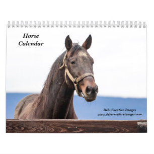 Calendário 2027 Cavalos de Nova York Fotografia Equestre