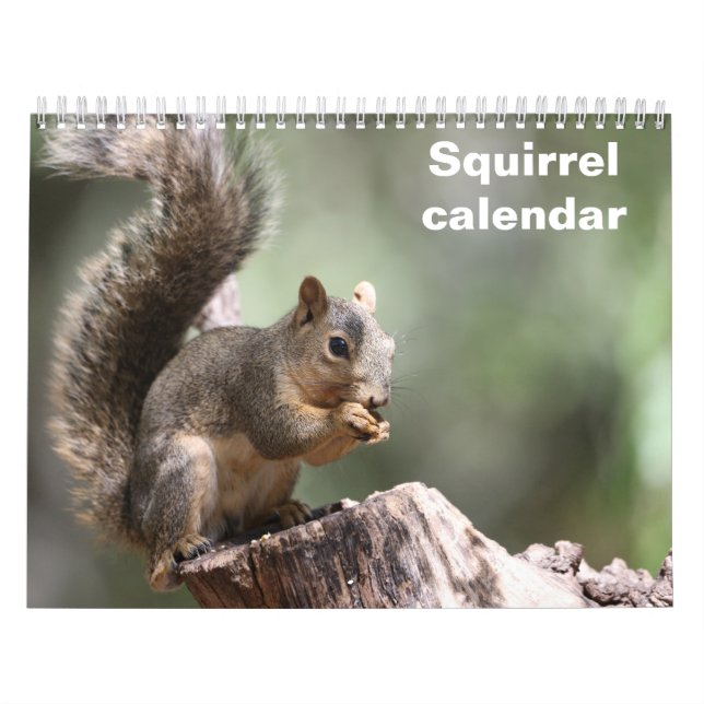 Calendário 2027 Esquilo (Capa)
