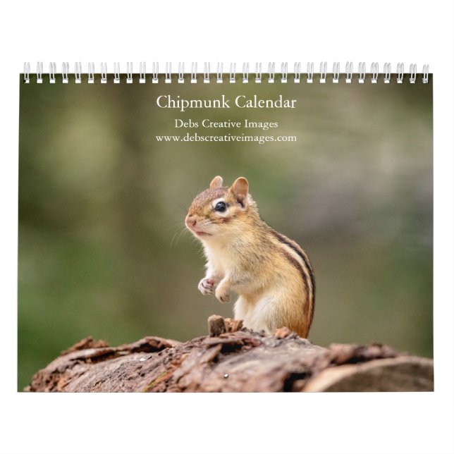 Calendário 2027 Esquilos Adirondack, Foto da Vida Selvagem da (Capa)