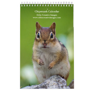 Calendário 2027 Esquilos-dos-adirondacks Fotografia da Vida