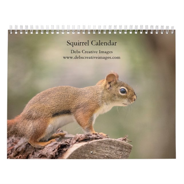 Calendário 2027 Esquilos | Fotografia da Vida Selvagem na Flo (Capa)