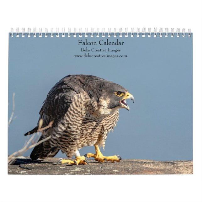 Calendário 2027 Falcões | Mestres da Velocidade & Voo (Capa)