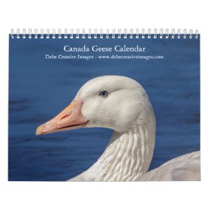 Calendário 2027 Gansos-do-Canadá Fotografia de Vida Selvage