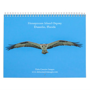 Calendário 2027 Honeymoon Island Osprey Vida Selvagem da Fl