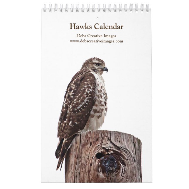 Calendário 2027 Hudson Valley Red-tailed Hawks | Fotografia d (Capa)