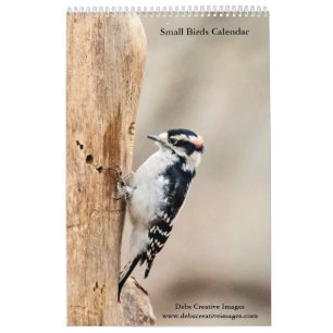 Calendário 2027 Hudson Valley Songbirds Fotografia da Vida