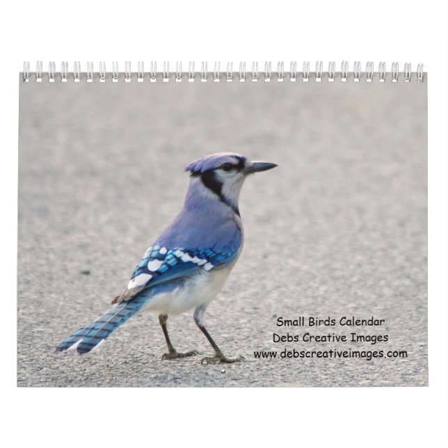 Calendário 2027 Hudson Valley Songbirds, Fotografia da Vida S (Capa)