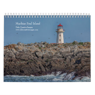Calendário 2027 Ilha do Selo de Machias Papagaios-do-mar e