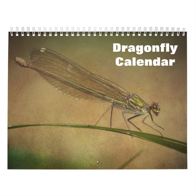 Calendário 2027 Libélula (Capa)