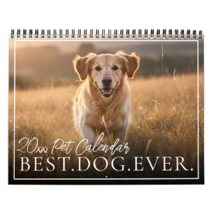 Calendário 2027 Melhor Cachorro de Todos os Tempos Crie Sua P