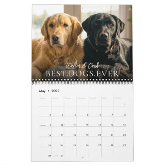 Calendário 2027 Melhor Cachorro de Todos os Tempos Crie Sua P