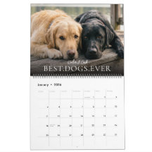 2027 Melhores Cães Já Criar Seu Próprio Pet Foto