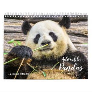 Calendário 2027 Pandas Adoráveis