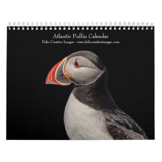 Calendário 2027 Papagaios-do-Atlântico | Aves Marinhas do Mai