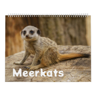 Calendário 2027 Para Sempre Alegria do Suricata