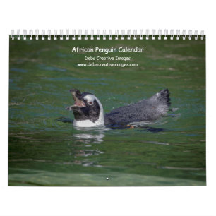 Calendário 2027 Pinguins-Africanos Vida Selvagem Sul-Africa