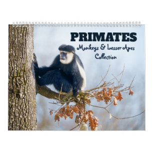 Calendário 2027 Primatas e Pequenos Macacos