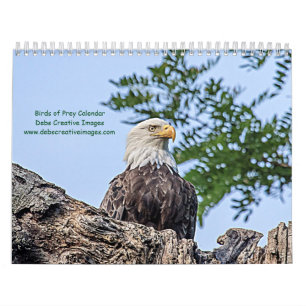 Calendário 2027 Raptores de Nova York Fotografia da Vida Se