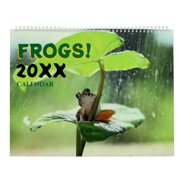 Calendário 2027 Rãs Fofas na Parede da Natureza (Capa)