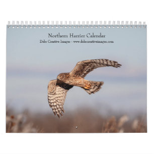 Calendário 2027 Tartaranhão-americano Aves de Rapina