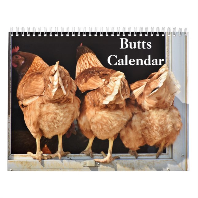 Calendário 2027 Traseiros (Capa)