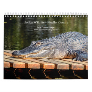 Calendário 2027 Vida Selvagem da Flórida Natureza do Condad