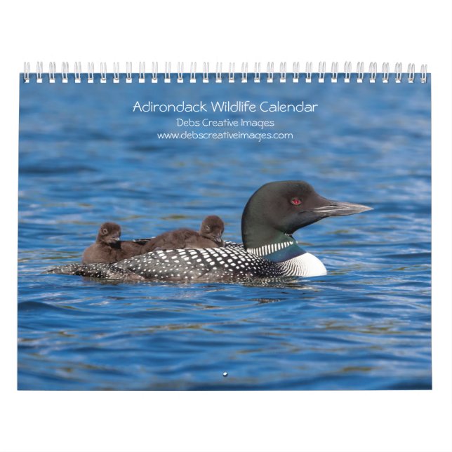 Calendário 2027 Vida Selvagem das Montanhas Adirondacks (Capa)