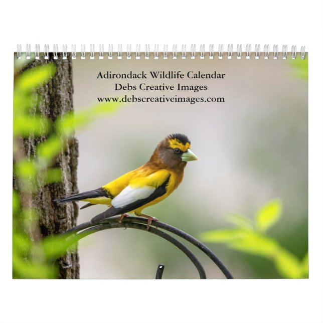 Calendário 2027 Vida Selvagem de Adirondack | Natureza Montan (Capa)
