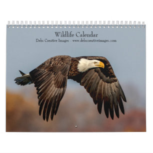 Calendário 2027 Vida Selvagem Norte-Americana Fotografia da