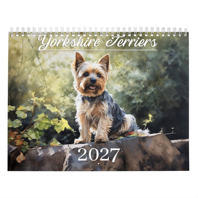 Calendário 2027 Yorkshire Terriers (Capa)