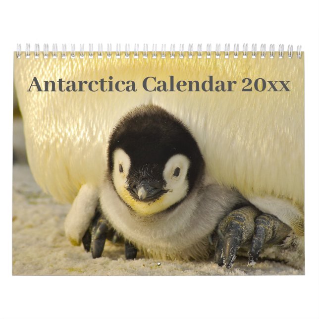 Calendário 20xx - Antártica (Capa)
