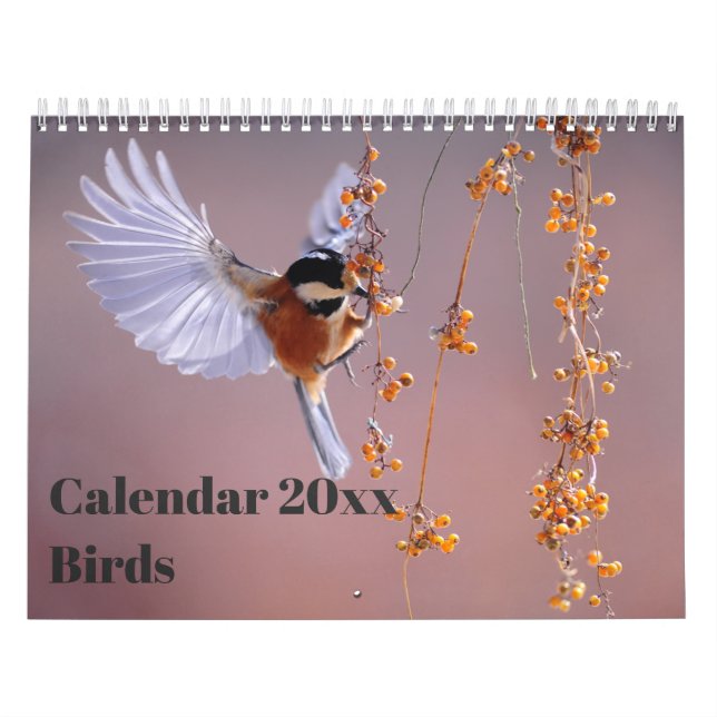 Calendário 20xx - Aves (Capa)