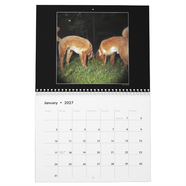 Calendário 2 da cor do parque do cão (Jan 2027)