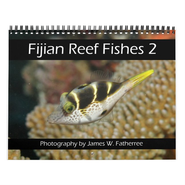 Calendário 2 dos Peixes de Recifes Fijianos (Capa)